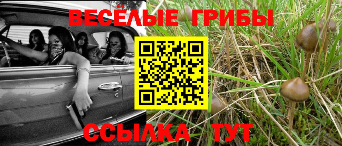 Псилоцибиновые грибы мухоморы Усть-Джегута