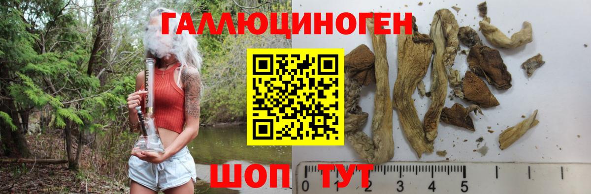 Усть-Джегута  Псилоцибиновые грибы мухоморы  Вход с VPN 